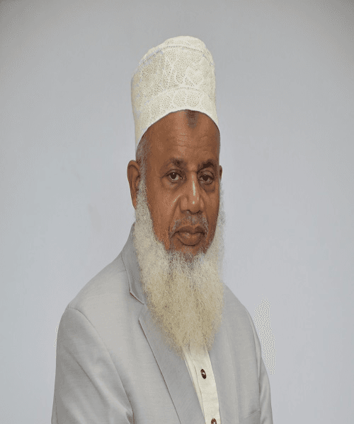 Picture of Prof. Hamed R. H. Hikmany